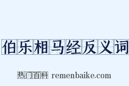 伯乐相马经反义词是什么意思的图片